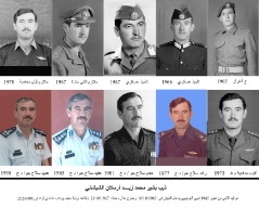 تسلسل الترفيعات