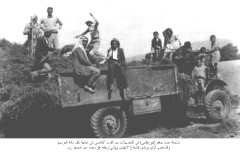 صور جماعية للشيشان