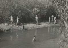 بلدة السخنة_30