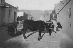 بلدة السخنة_40