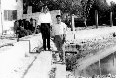 بلدة السخنة_58