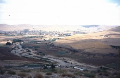 بلدة السخنة_69