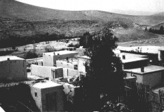 بلدة السخنة_70