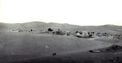 بلدة السخنة_71
