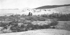بلدة السخنة_73