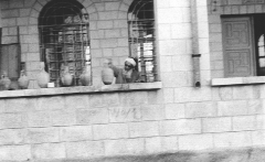 بلدة السخنة_74