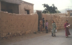 صور بلدة السخنة