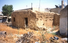 بلدة السخنة_82