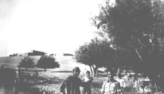 بلدة السخنة_83