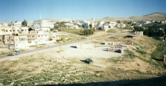 بلدة السخنة_87