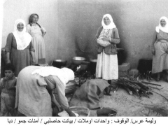 بلدة السخنة_8