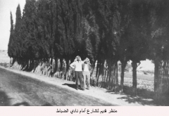 صور مدينة الزرقاء_26