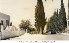 صور مدينة الزرقاء_27