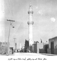 صور مسجد الشيشان_3