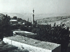 بلدة صويلح_10