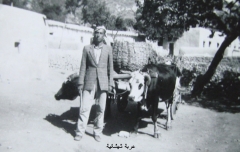 بلدة صويلح_13