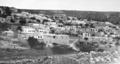 بلدة صويلح_4