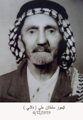تيمور علي سلطان_1